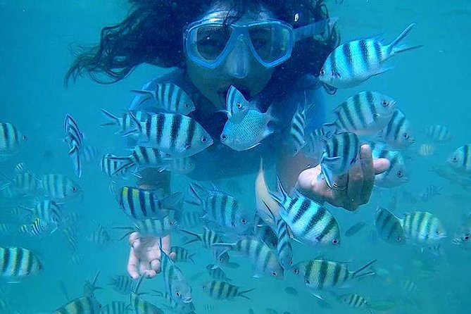 Bintan Snorkeling Tour - Booking and Cancellation Policies