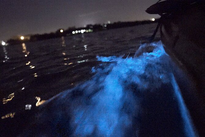 Bioluminescence Kayak Tour - Customer Recommendations