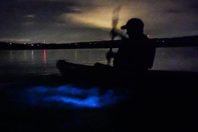 Bioluminescence Night Kayaking Tour of Merritt Island Wildlife Refuge - Background