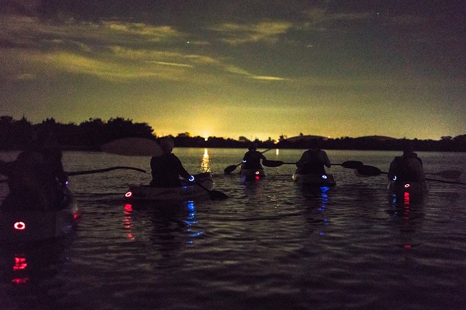 Bioluminescent Kayak Tour. Fin Expeditions Is Cocoa Beaches Top Rated Kayak Tour - Reviews