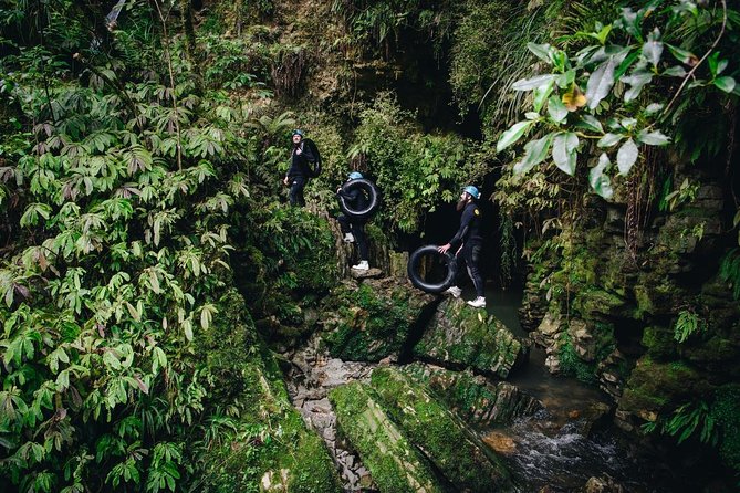 Black Abyss: Ultimate Waitomo Caving - Private Tour From Auckland - Assistance Options