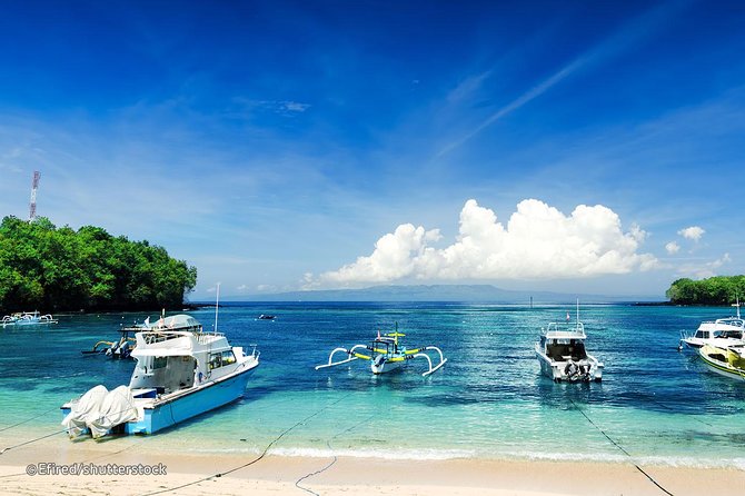 Bloo Lagoon Snorkeling East Bali Includes Transportation & Lunch - Refund Policy