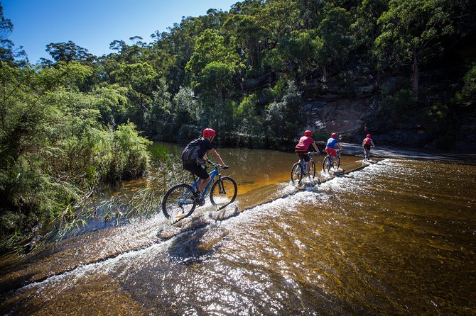 Blue Labyrinth PRIVATE Tour: Sydney Blue Mountains by E-Bike - Scenic Trails