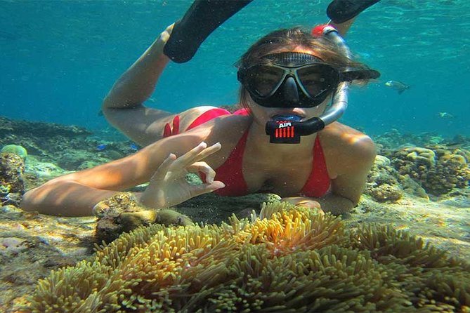 Blue Lagoon Bali Snorkeling Activities All Inclusive - Booking Inclusions