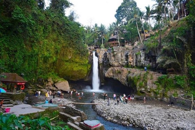 Blue Lagoon Snorkeling and Lunch With Visit Tegenungn Waterfall in Ubud - Customer Reviews