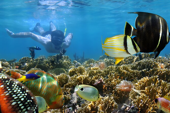 Blue Lagoon Snorkeling - Bali Best Snorkeling Site - Pricing and Booking Details