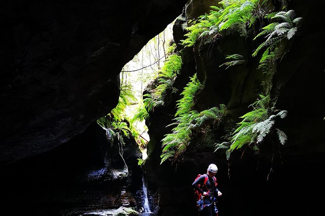 Blue Mountains and Empress Canyon Abseiling Adventure Tour - Cancellation Policy Details