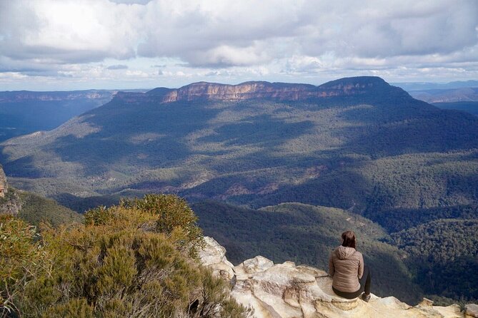 Blue Mountains Carbon Neutral Day Trip From Sydney - Traveler Reviews and Feedback