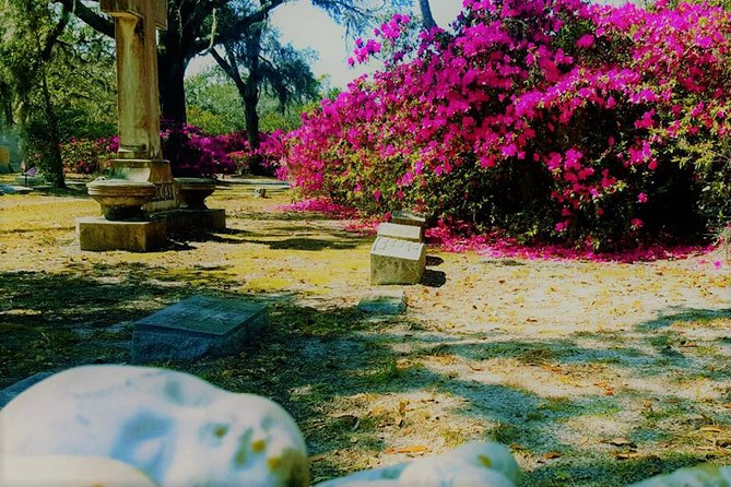 Bonaventure Cemetery Is Forever Tour - Guest Experiences and Recommendations