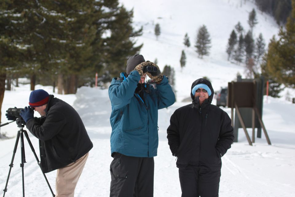 Bozeman: Yellowstone Wolves and Winter 4Day/3Night Adventure - Wildlife Viewing