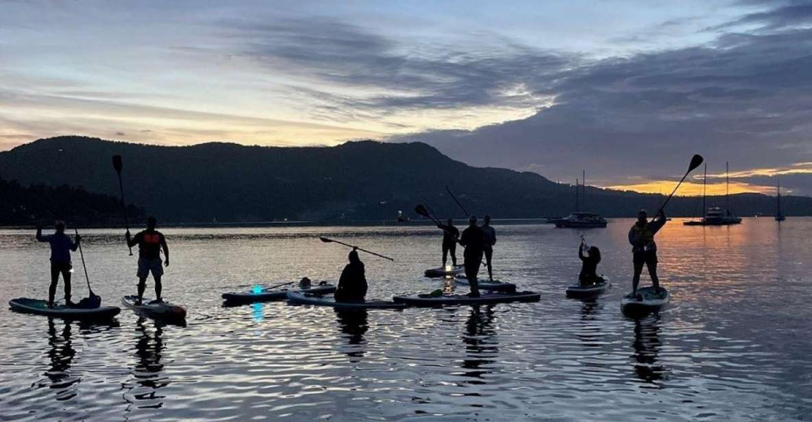 Brentwood Bay: Stand-up Paddleboard Bioluminescence Tour - Key Points