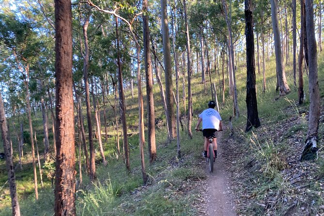 Brisbane Electric Mountain Bike Experience Tour - Customer Reviews