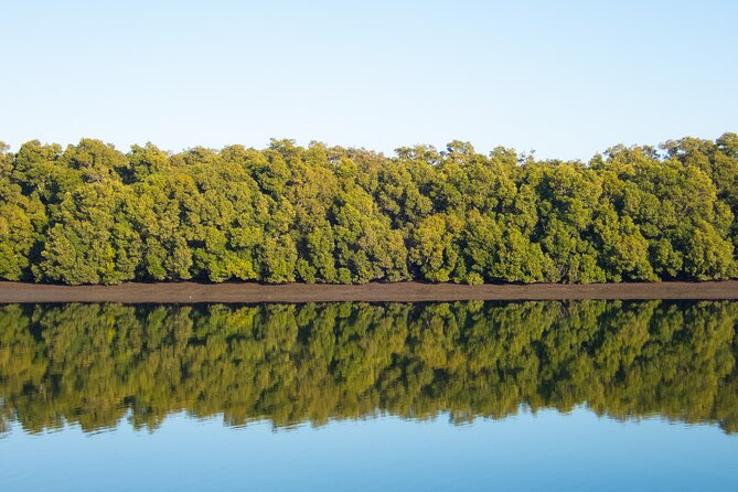 Brisbane: Wildlife and Wilderness Private Coastal Tour - Cancellation Policy