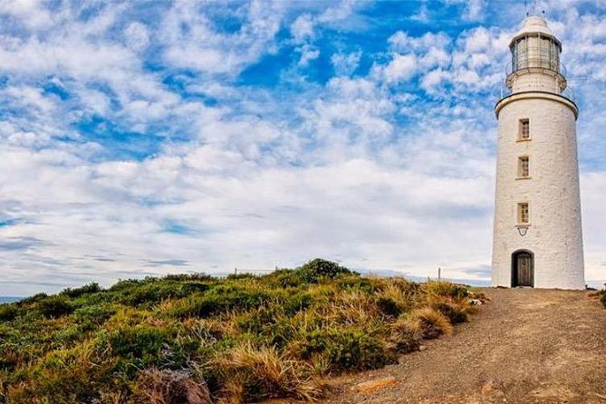 Bruny Island Day Tour Private Charter Service - Service Inclusions