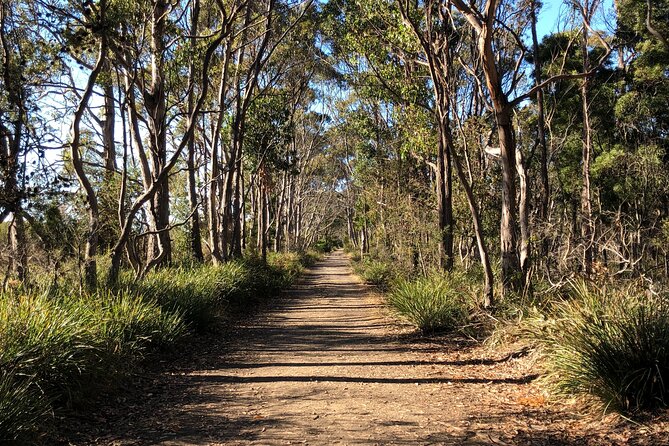 Bruny Island Nature and Tasting Active Day Tour - Important Details