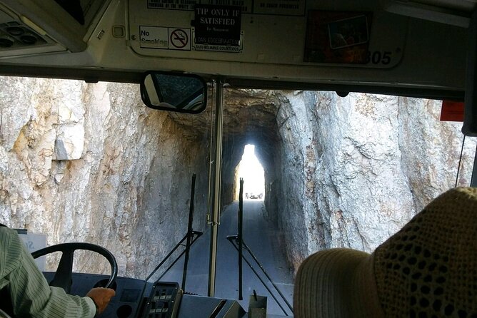 Bus Tour of Mount Rushmore and the Black Hills - Traveler Experience