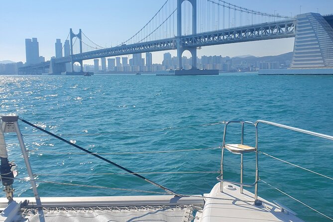 Busan Bliss: Panoramic Yacht & Urban Exploration - Additional Details