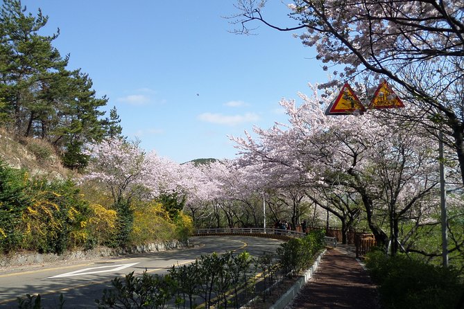 Busan City Tour Including Haedong Yonggungsa Temple And APEC House - Additional Information