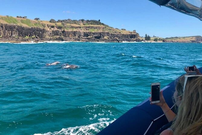 Byron Bay Dolphin Tour - Ocean Safari - Duration and Schedule