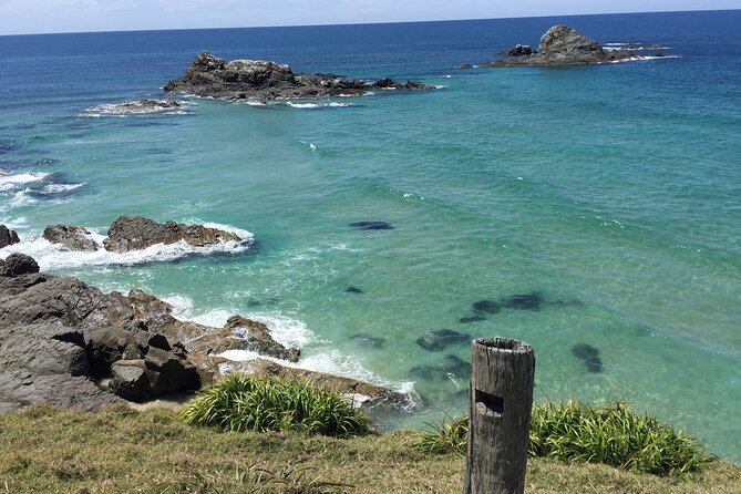 Byron Bay Hidden Beach, Waterfall, and Bushwalk Half-Day Tour - Tour Guides