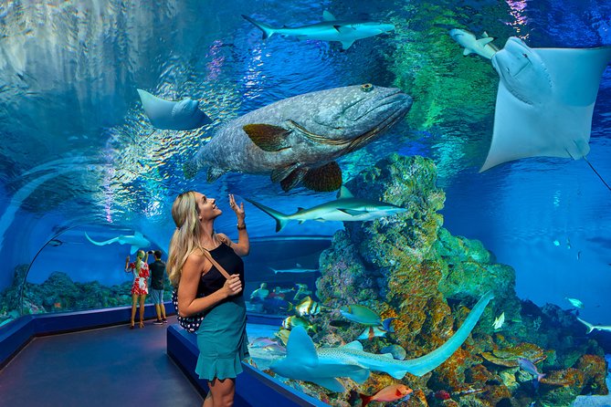 Cairns Aquarium Admission Ticket - Booking in Advance Benefits