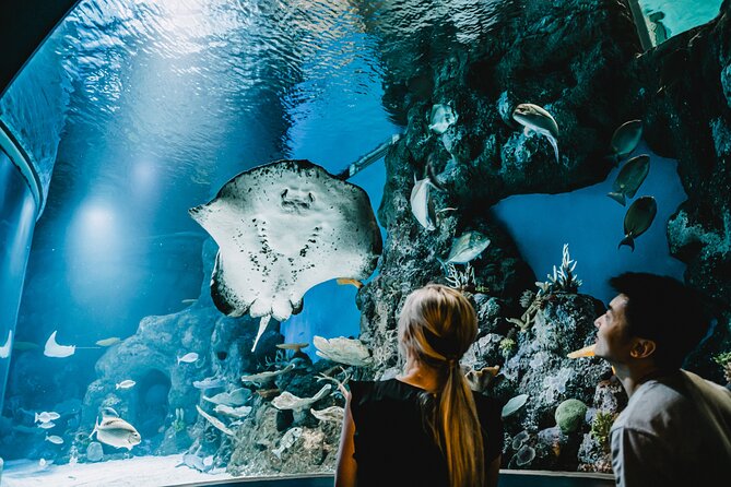 Cairns Aquarium by Sunrise - Visitor Tips and Recommendations