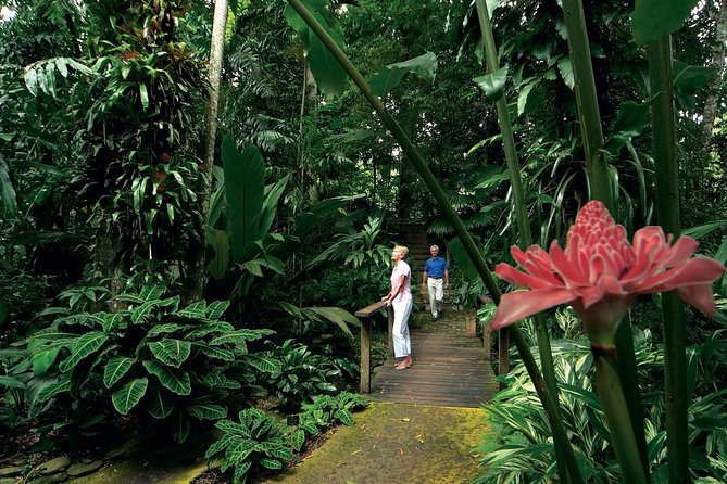 Cairns City Sights and Surrounds Tour - Refreshment Breaks