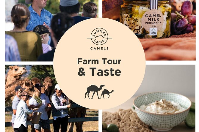 Camel Farm Tour and Taste - Accessibility and Group Size Limits