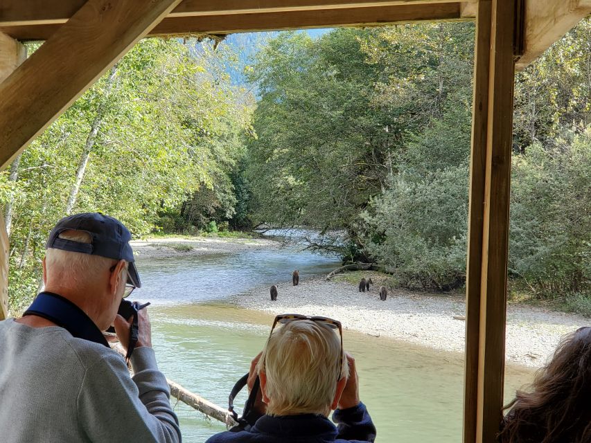 Campbell River: Grizzly Bear-Watching Tour With Lunch - Lunch and Immersion Details