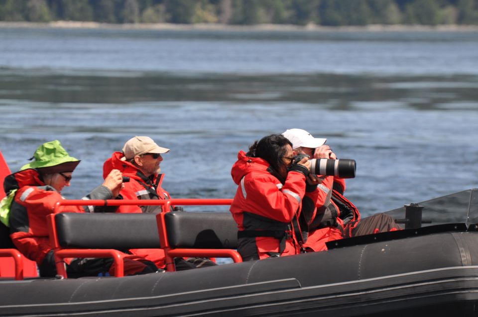 Campbell River: Whale Watching and Wildlife Viewing Day Tour - Customer Reviews