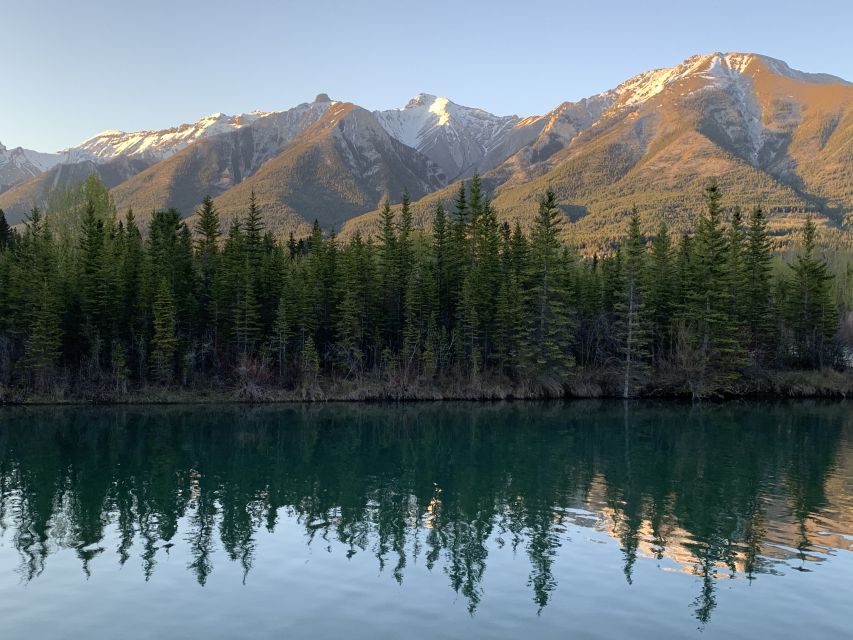 Canmore: 4-Hour Banff Park Safari Drive & Nature Walk - Sum Up