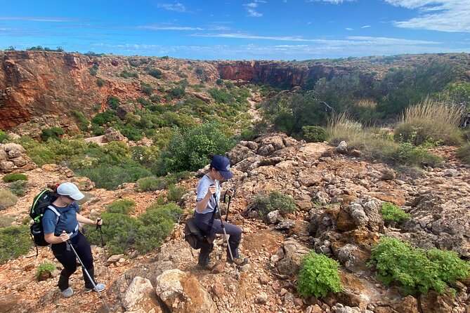 Cape Range National Park Full-Day Trekking Adventure - Reviews and Testimonials