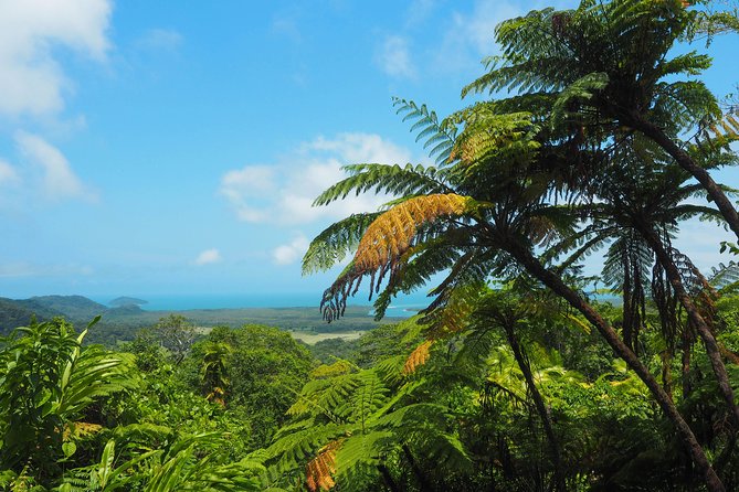 Cape Tribulation & Daintree Wilderness (TCT) - Booking Information