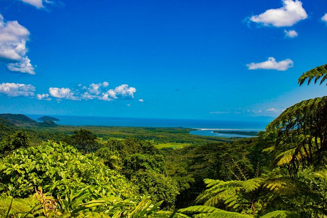 Cape Tribulation Day Tour - Tour Operator Contact Information