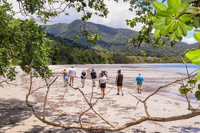 Cape Tribulation & Ziplining: Ultimate Daintree - Common questions