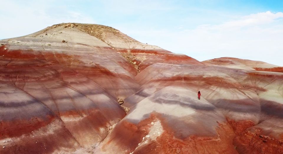 Capitol Reef National Park: Cathedral Valley Day Trip - Customer Experiences and Testimonials