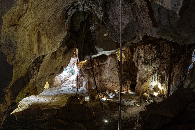 Capricorn Caves Cathedral Cave Tour - Traveler Reviews