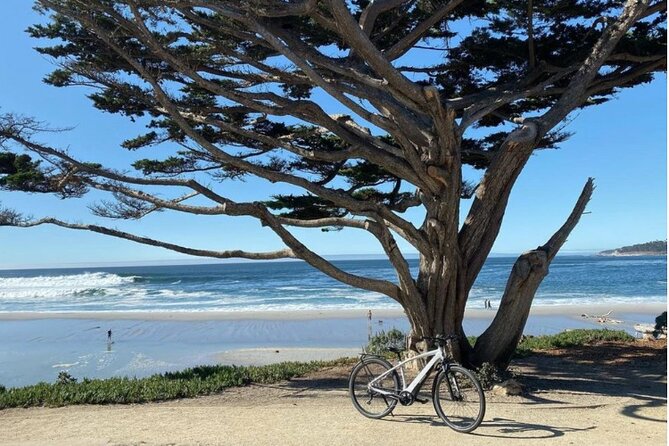 Carmel Small-Group E-Bike Tour  - Monterey & Carmel - Discount Offers