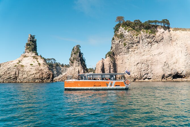 Cathedral Cove Coast and Cave Activity - Ocean Leopard Tours - Cathedral Cove