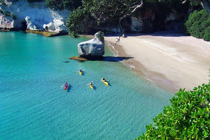 Cathedral Cove Kayak Tour - Customer Support and Inquiries