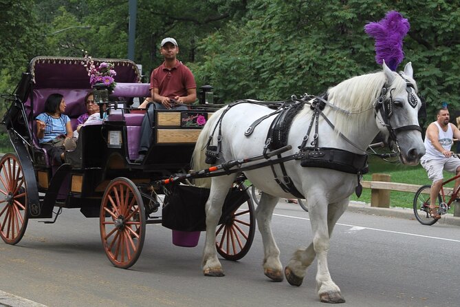 Central Park and NYC Horse Carriage Ride OFFICIAL ( ELITE Private) Since 1970 - Customer Service Experience and Recommendations