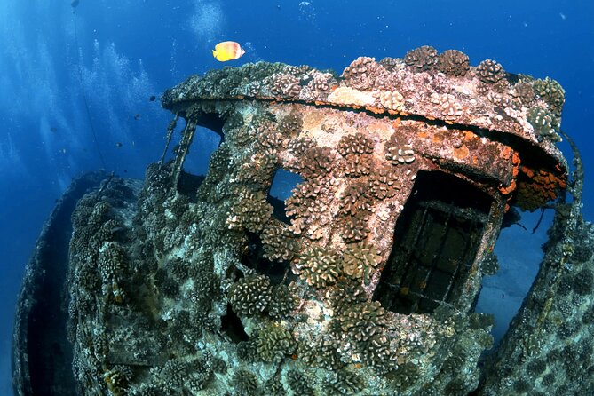 Certified Diver:2-Tank Deep Wreck and Shallow Reef Dives off Oahu - Cancellation Policy and Participant Requirements