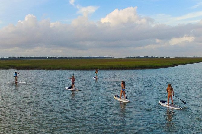 Charleston Stand-Up Paddleboard Eco Tour - Sum Up