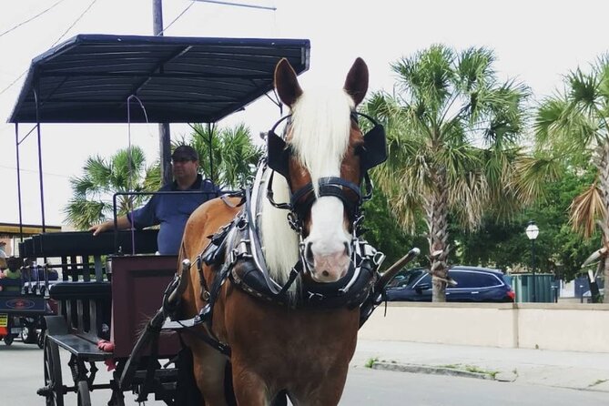 Charlestons Historic Residential Horse and Carriage Tour - Booking Details