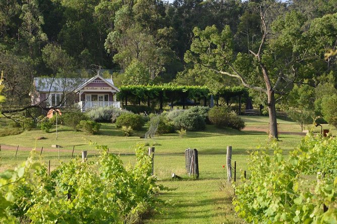 Chef-Led Hunter Valley Gourmet Food and Wine Day Tour From Sydney - Sum Up