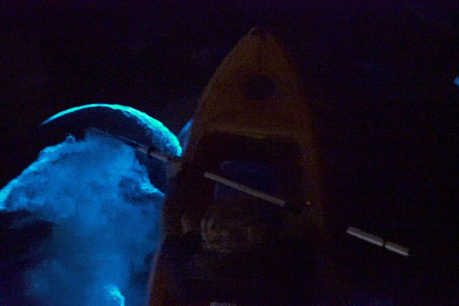 Clear Kayak Bioluminescence Tour - Directions