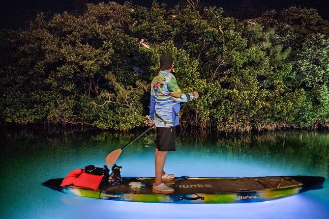 Clear Kayak LED Night Glass Bottom Tour - Sarasota - Contact and Support