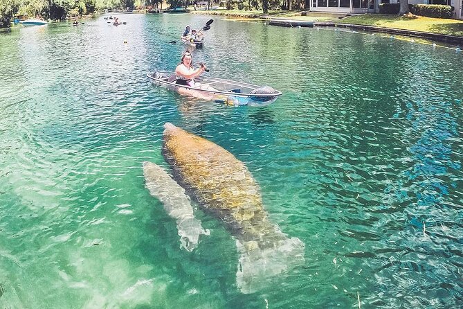 Clear Kayak Tour Of Crystal River And Three Sisters Springs - Tour Directions