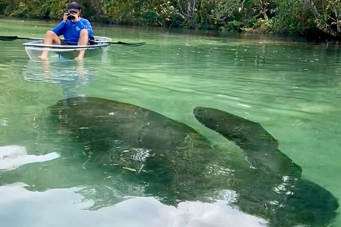 Clear Kayak Tours in Weeki Wachee - Important Notes