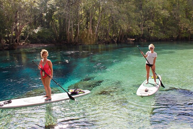 Cold Spring Kayak or Canoe Eco Tour With Snorkeling, Swimming  - Panama City Beach - Cancellation Policy Details